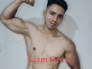 Liam_forest