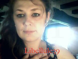 Libellule39