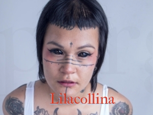 Lilacollina