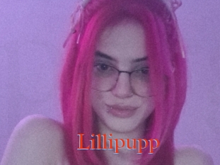 Lillipupp