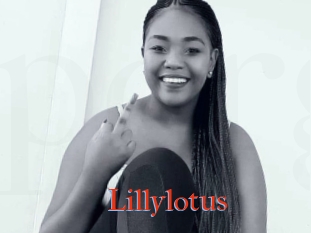 Lillylotus