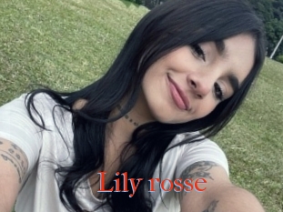 Lily_rosse