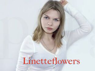 Linetteflowers