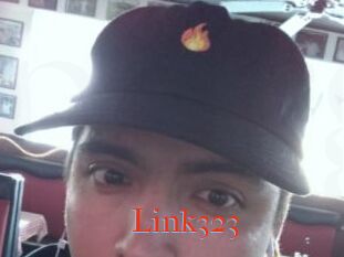 Link323