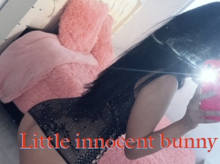Little_innocent_bunny