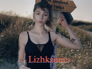 Lizhkamics