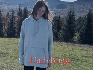 Lladybugg