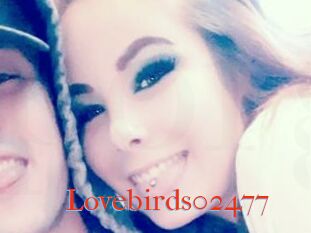 Lovebirds02477