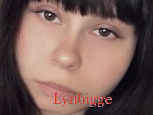 Lynbigge
