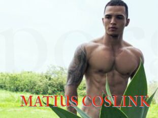 MATIUS_COSLINK
