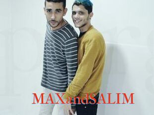 MAXandSALIM