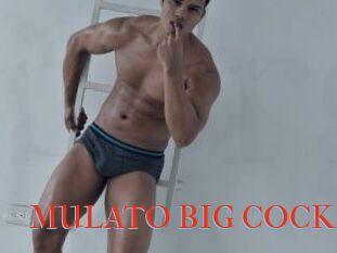 MULATO_BIG_COCK