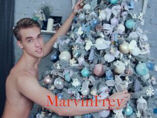 MarvinFrey