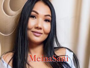 MeinaSani