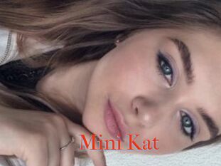 Mini_Kat