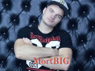 MortBIG