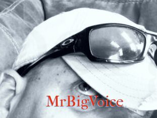 MrBigVoice
