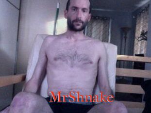 MrShnake