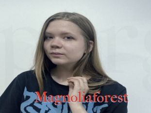 Magnoliaforest
