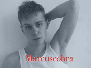 Marcuscobra