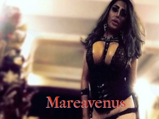 Mareavenus