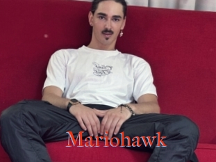 Mariohawk
