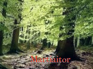 Martiaitor