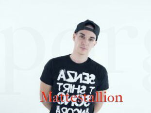 Mattestallion