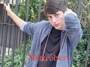Mattrobert