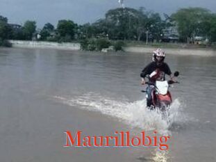 Maurillobig