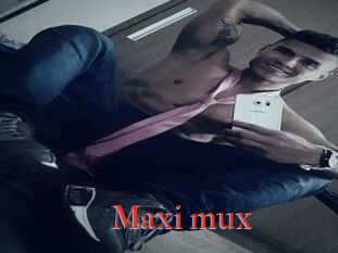 Maxi_mux