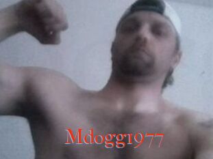 Mdogg1977