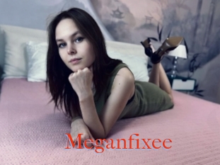 Meganfixee