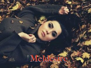 Meldesire