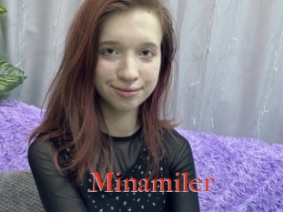 Minamiler