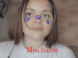 Mischarm