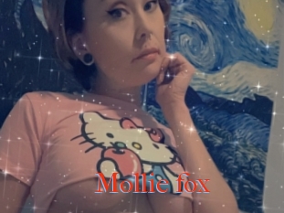 Mollie_fox