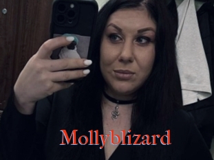 Mollyblizard