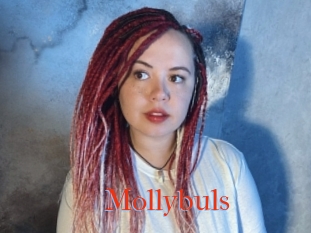Mollybuls