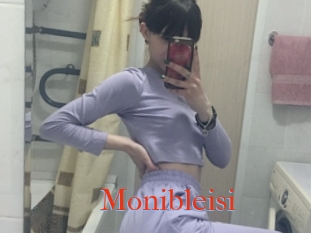 Monibleisi
