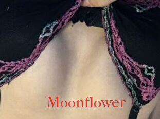 Moonflower