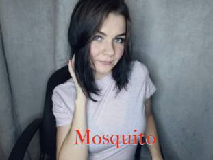 Mosquito