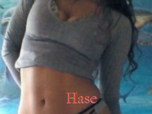 Hase