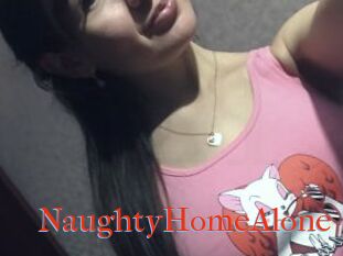 NaughtyHomeAlone