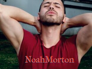 NoahMorton