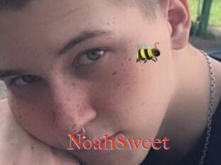 NoahSweet