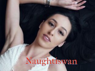 Naughtiswan