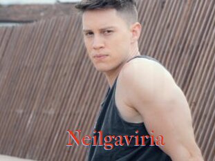 Neilgaviria