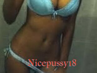 Nicepussy18