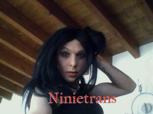 Ninietrans